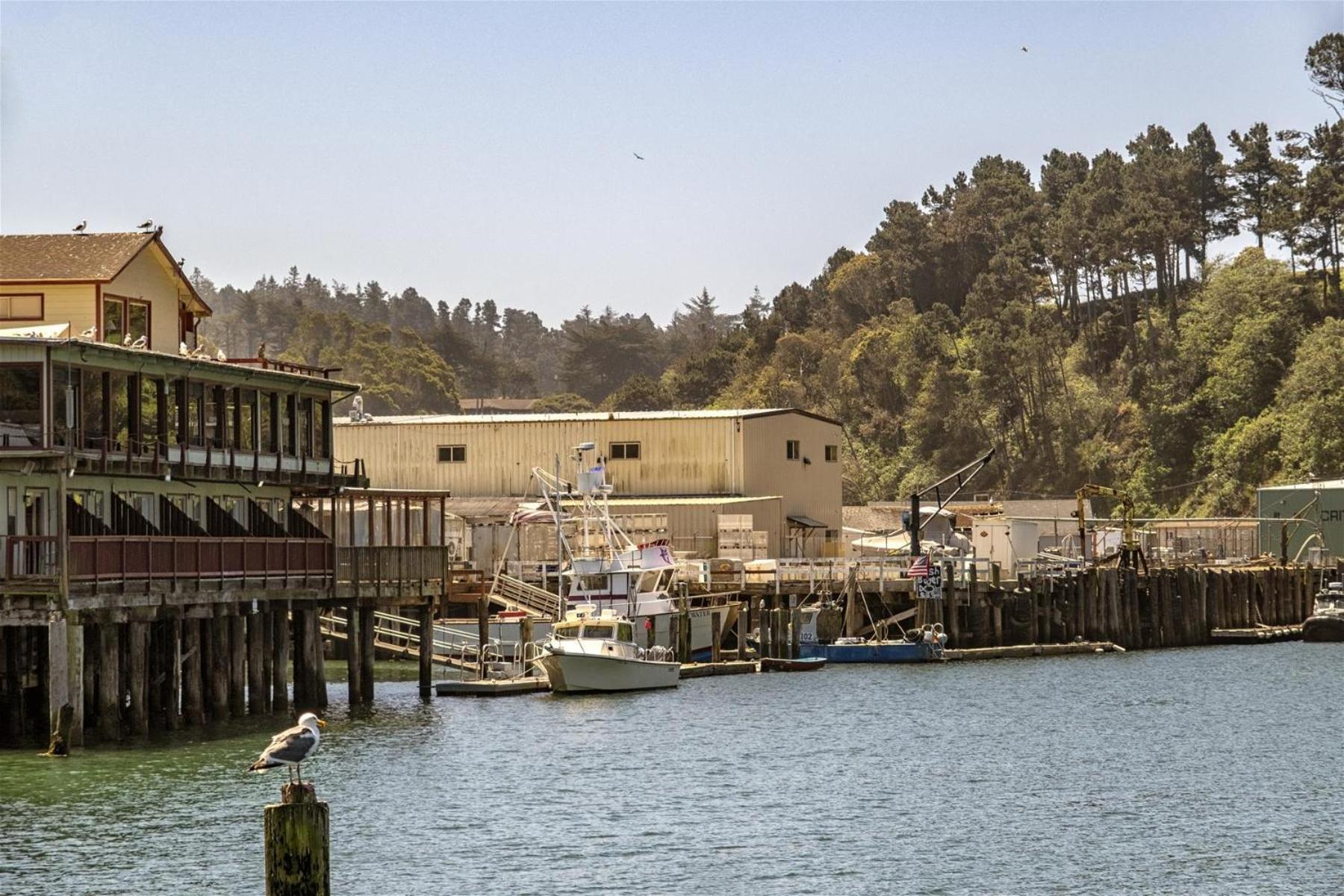 Driftwood Fort Bragg Exterior foto